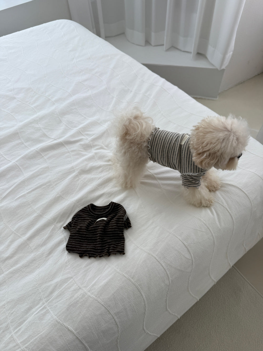【PRE-ORDER】Wool Stripe Top 全2色