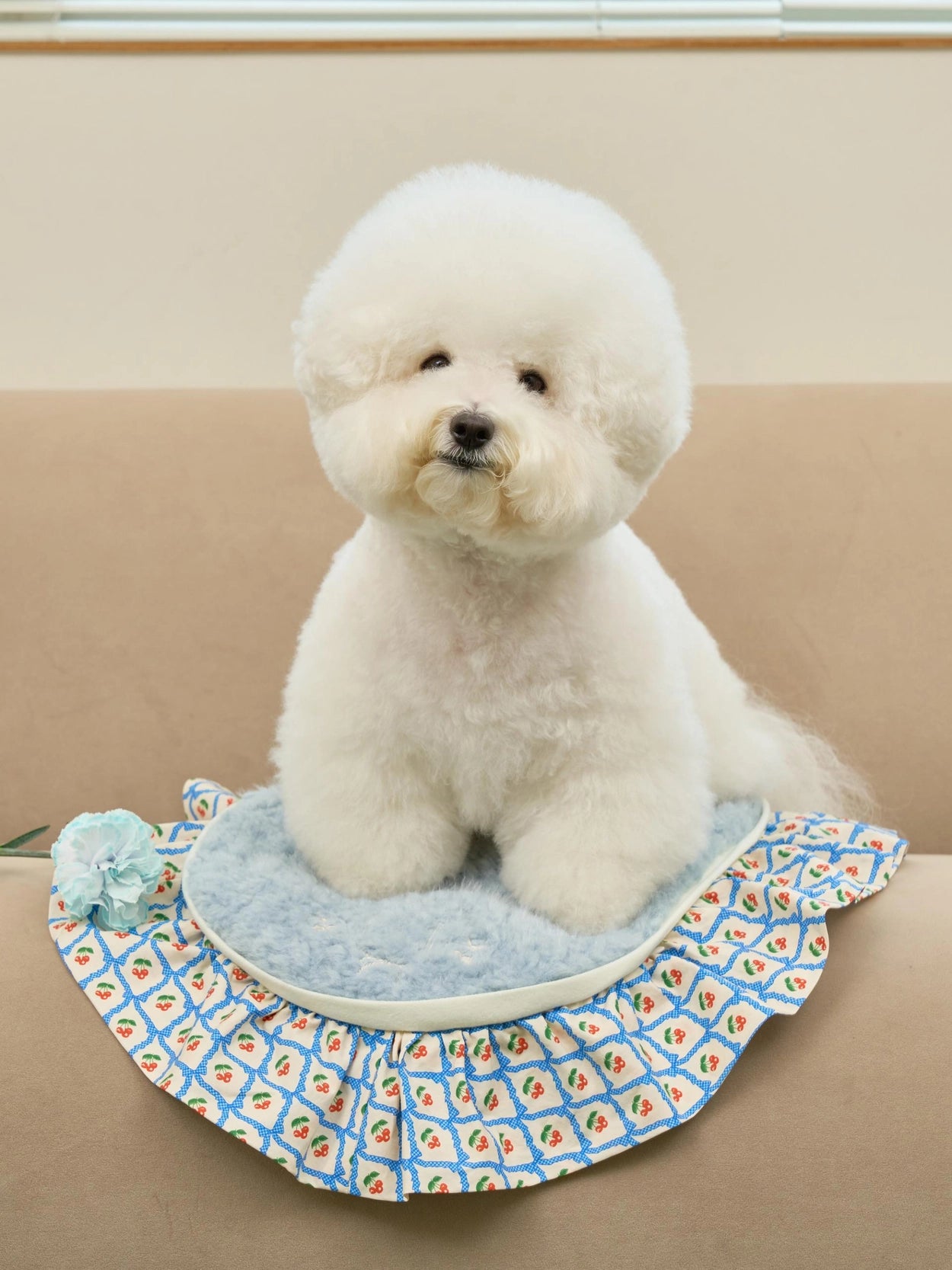 即納 Cozy Cloud Blanket 全3色