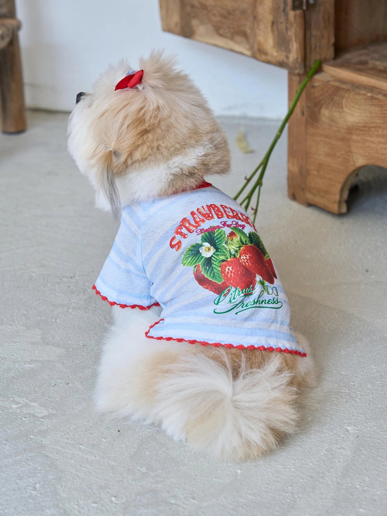 即納 Juicy Market T-Shirt 全3色