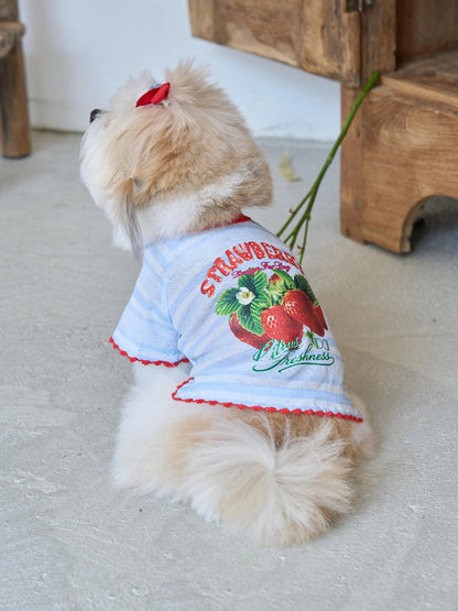 即納 Juicy Market T-Shirt 全3色