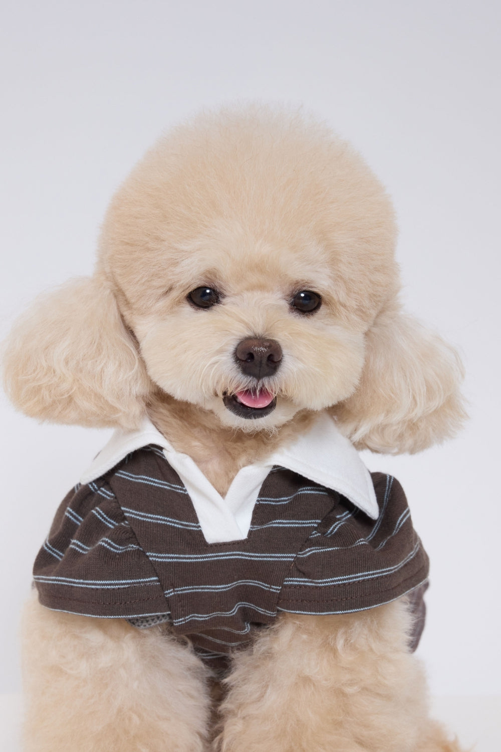 Brownie Puff Collar Top ブラウン