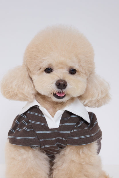 Brownie Puff Collar Top ブラウン