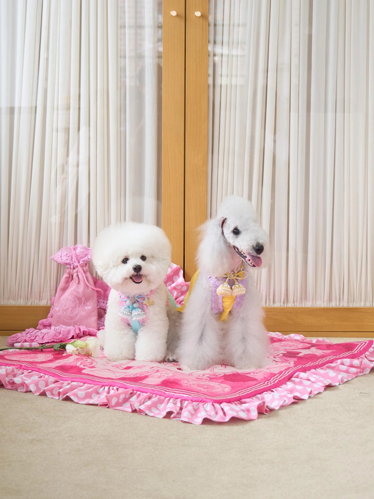 即納 DD Ice Pouch 全4色