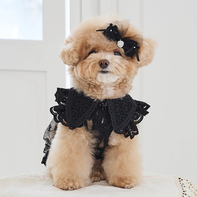 Sweetie Bebe Dress 全3色
