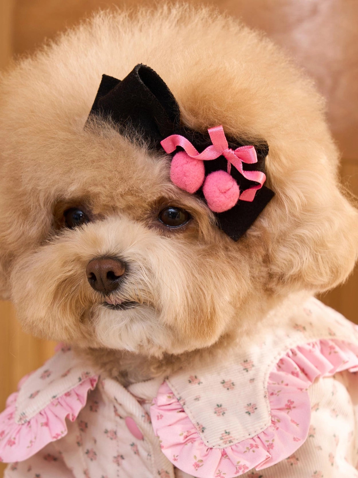 即納 Cherry Bongbong Hairpin 全3色