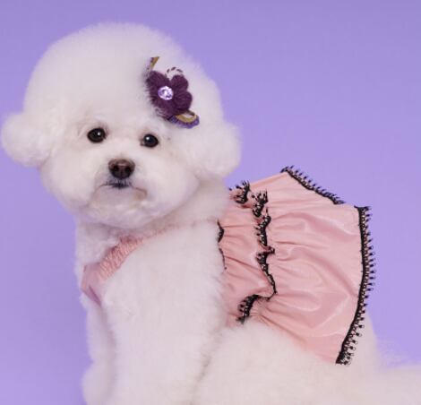 即納 Coco Ruru