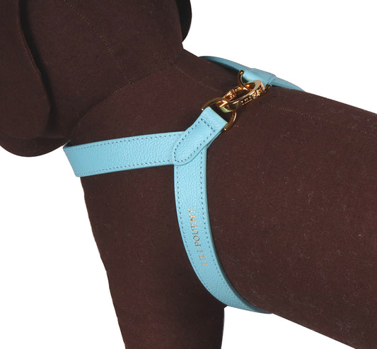 VV Harness ミント