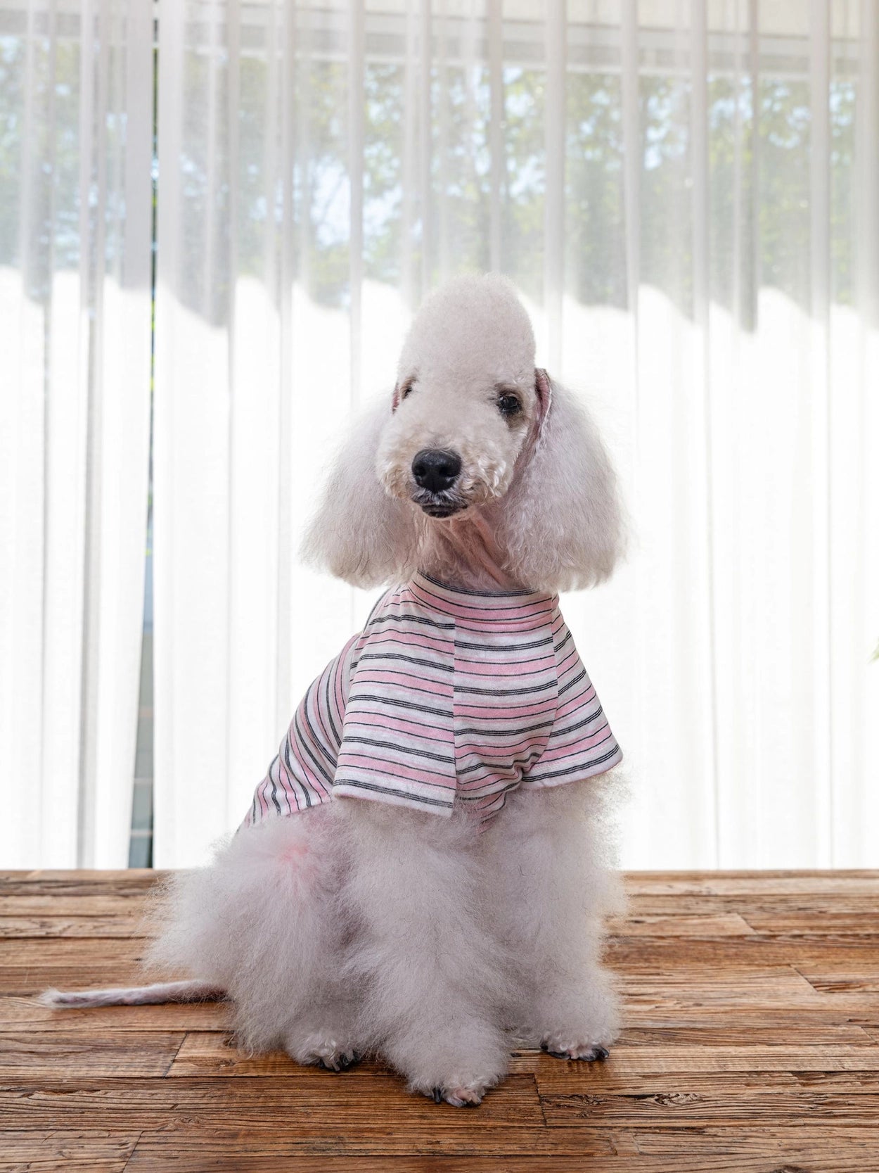 即納 Enjoy Wave T-Shirt 全3色