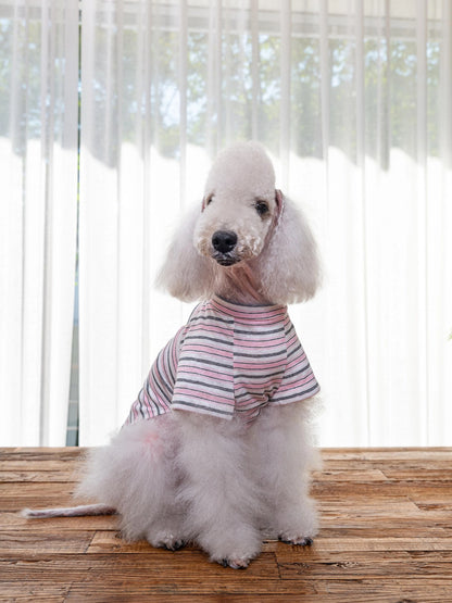 即納 Enjoy Wave T-Shirt 全3色