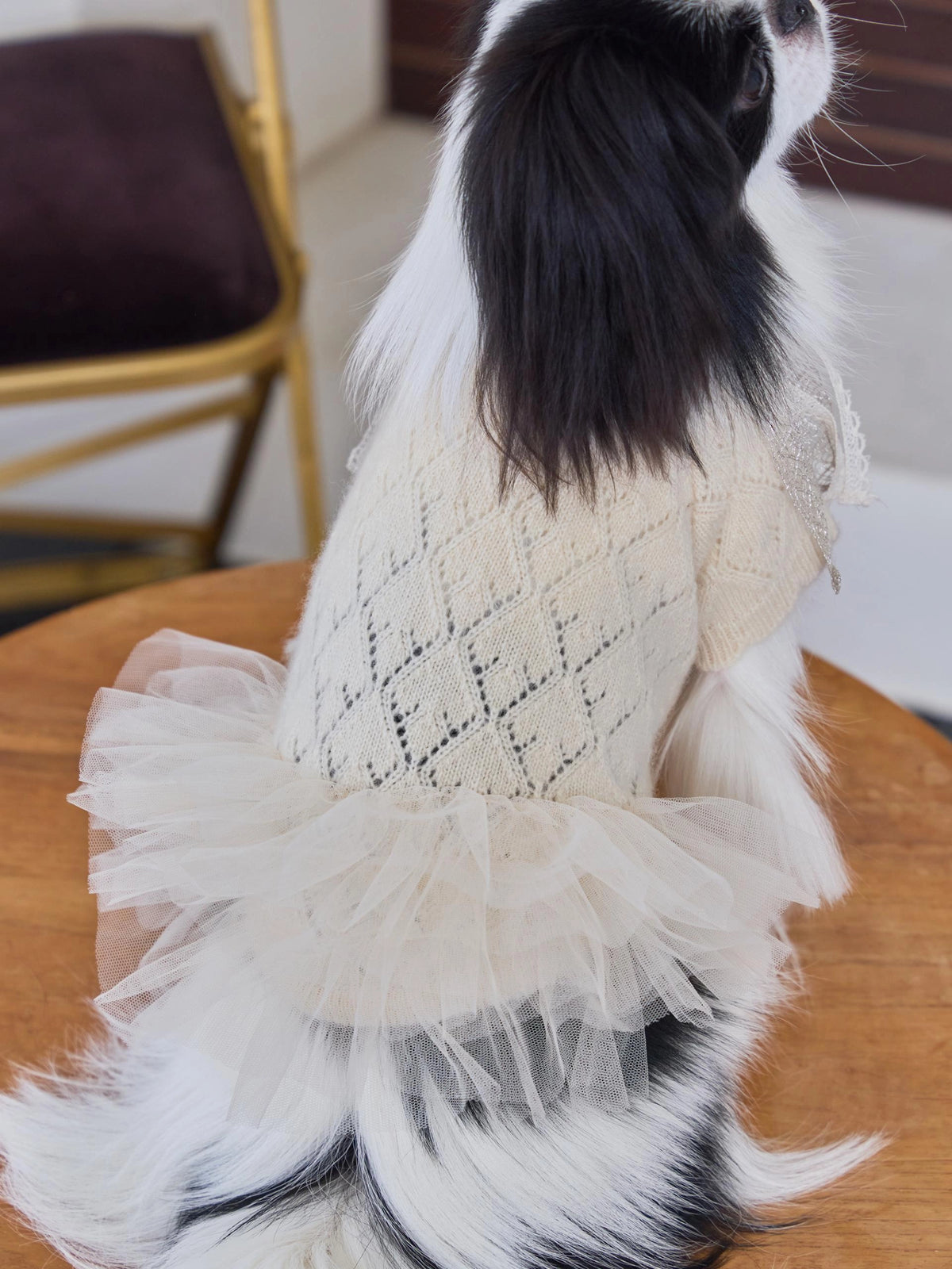 Patissier Tutu Dress 全3色