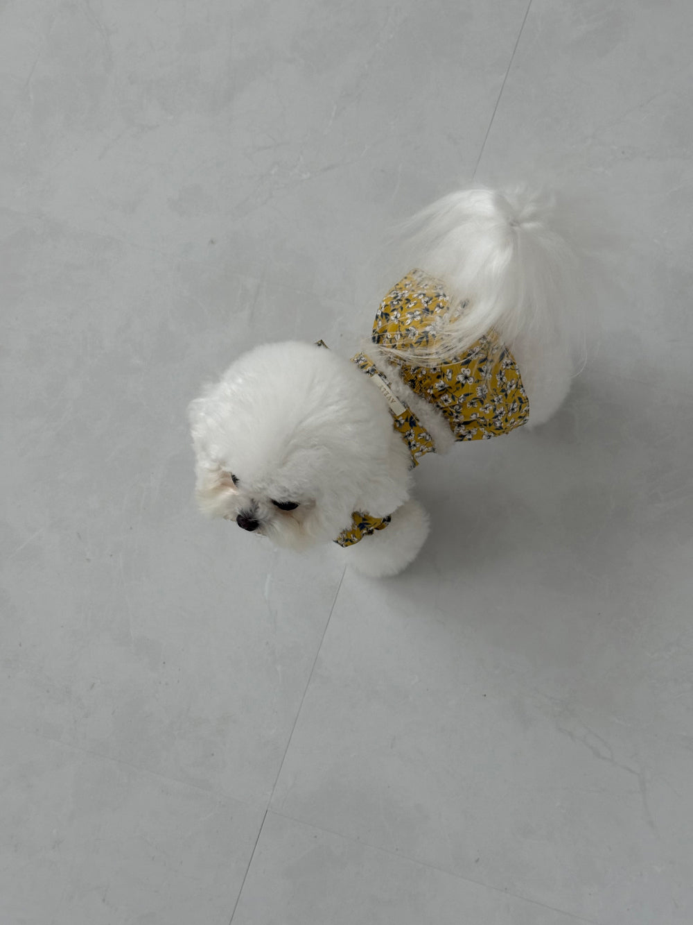 【PRE-ORDER】Liberty Yellow Floral Dress