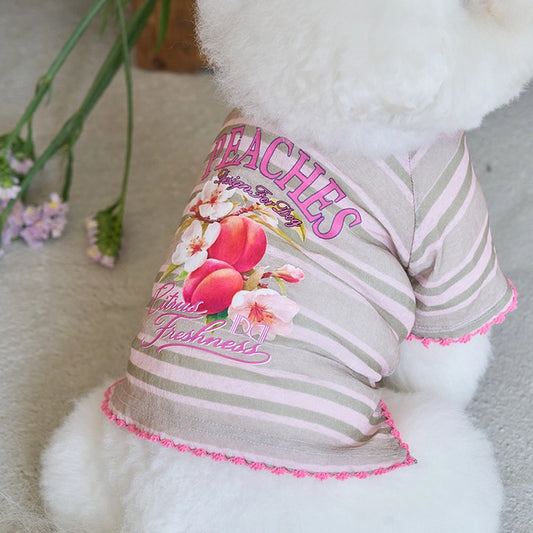 即納 Juicy Market T-Shirt 全3色