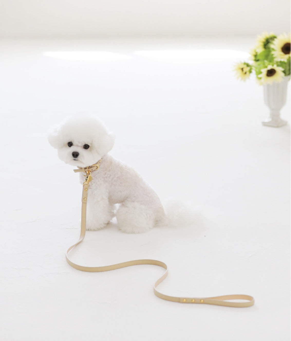 Bloom Collar【迷子札】 ベージュ