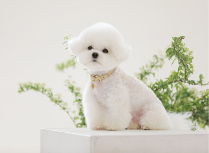 Bloom Collar【迷子札】 ベージュ