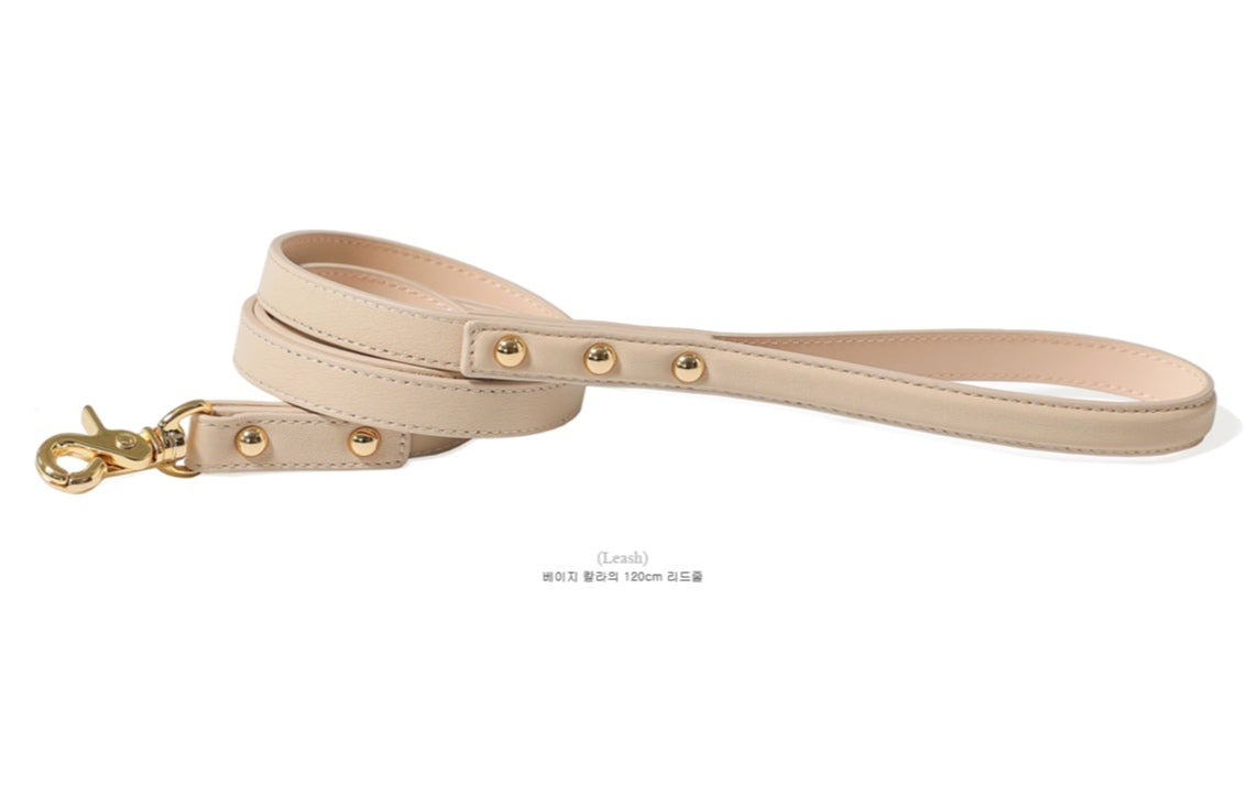 Bloom Collar【迷子札】 ベージュ