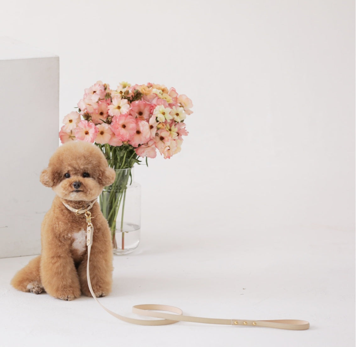 Bloom Collar【迷子札】 ベージュ