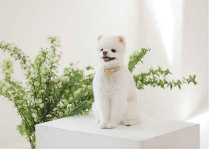 Bloom Collar【迷子札】 ベージュ