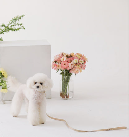 Bloom Collar【迷子札】 ベージュ