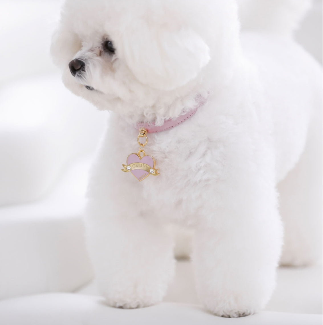 Bloom Collar × In My Heart Pendant【迷子札】 ボンボンピンク