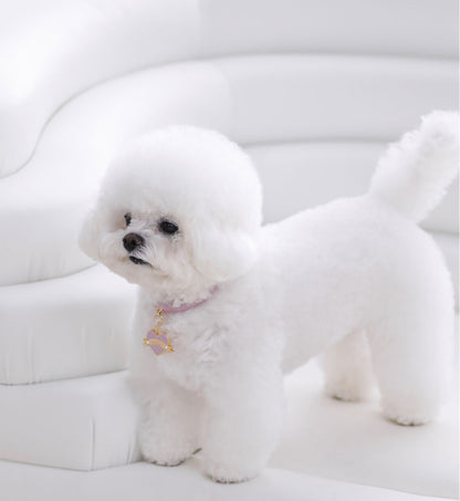 Bloom Collar × In My Heart Pendant【迷子札】 ボンボンピンク