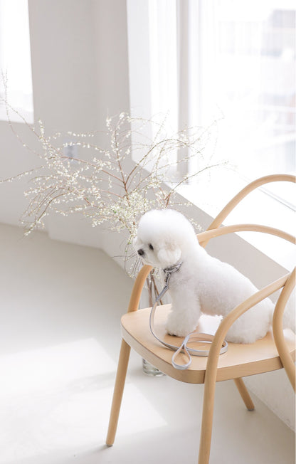 Bloom Collar【迷子札】 シルバー