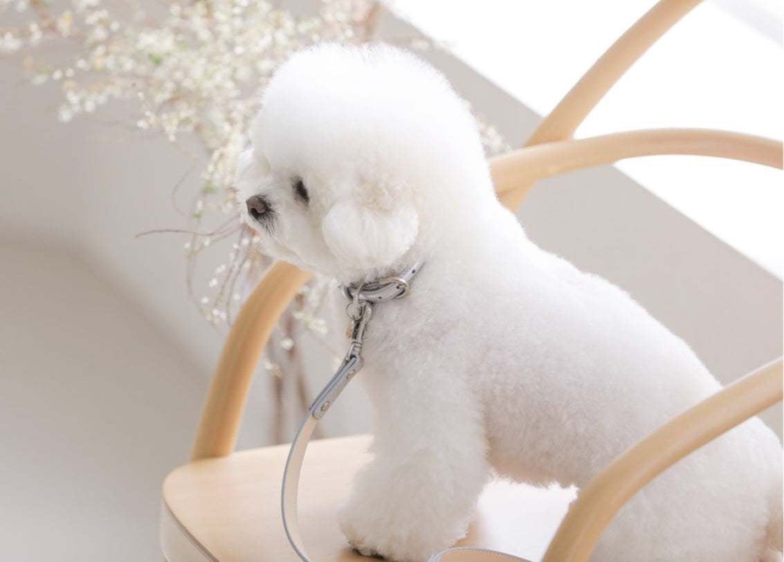 Bloom Collar【迷子札】 シルバー