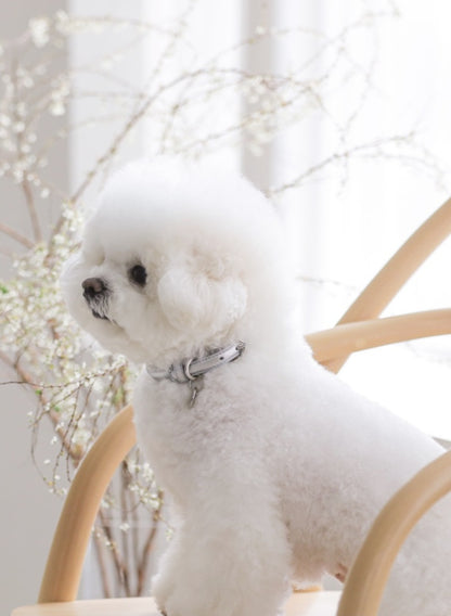 Bloom Collar【迷子札】 シルバー