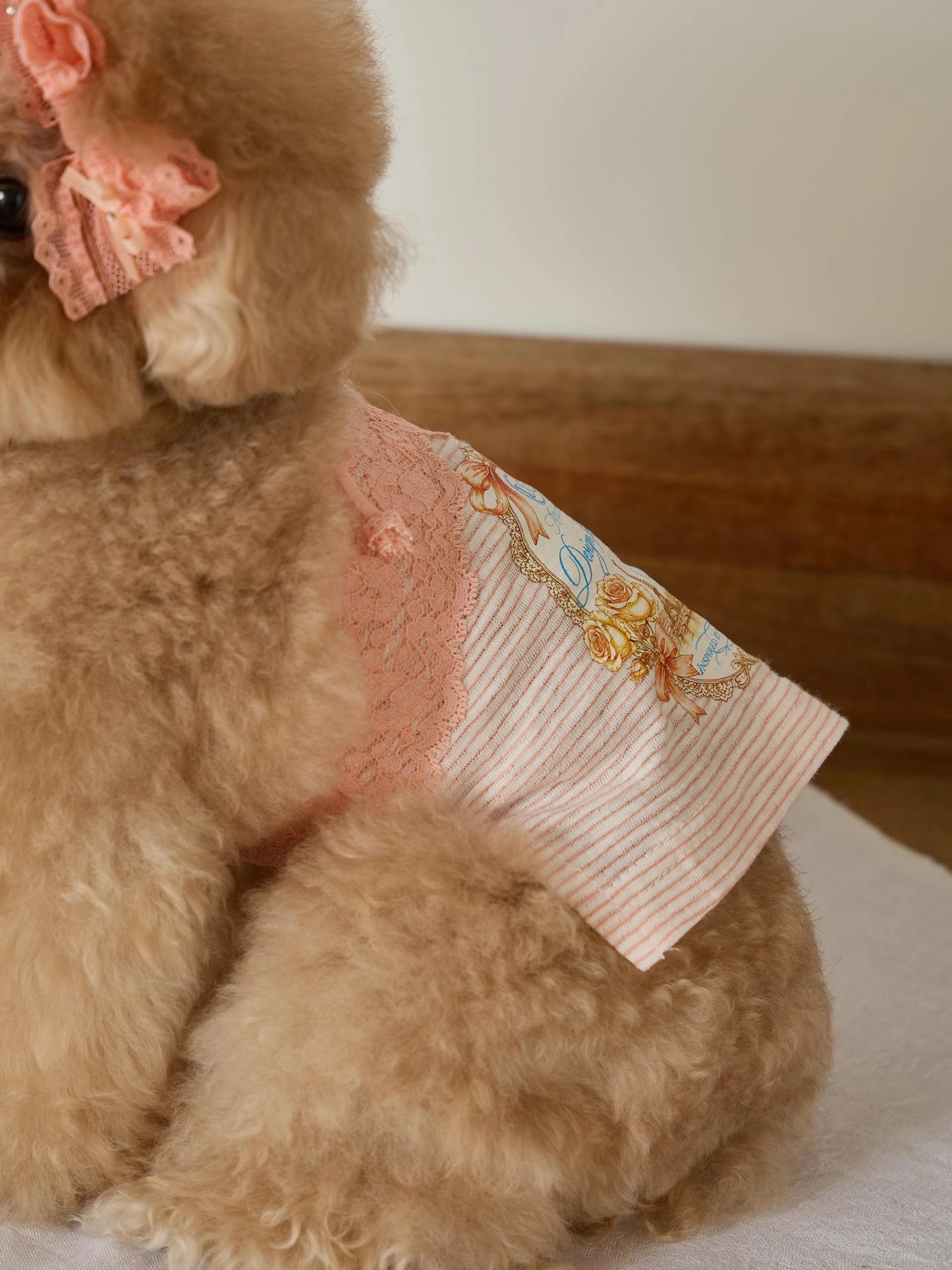 Petit Camisole Top 全3色