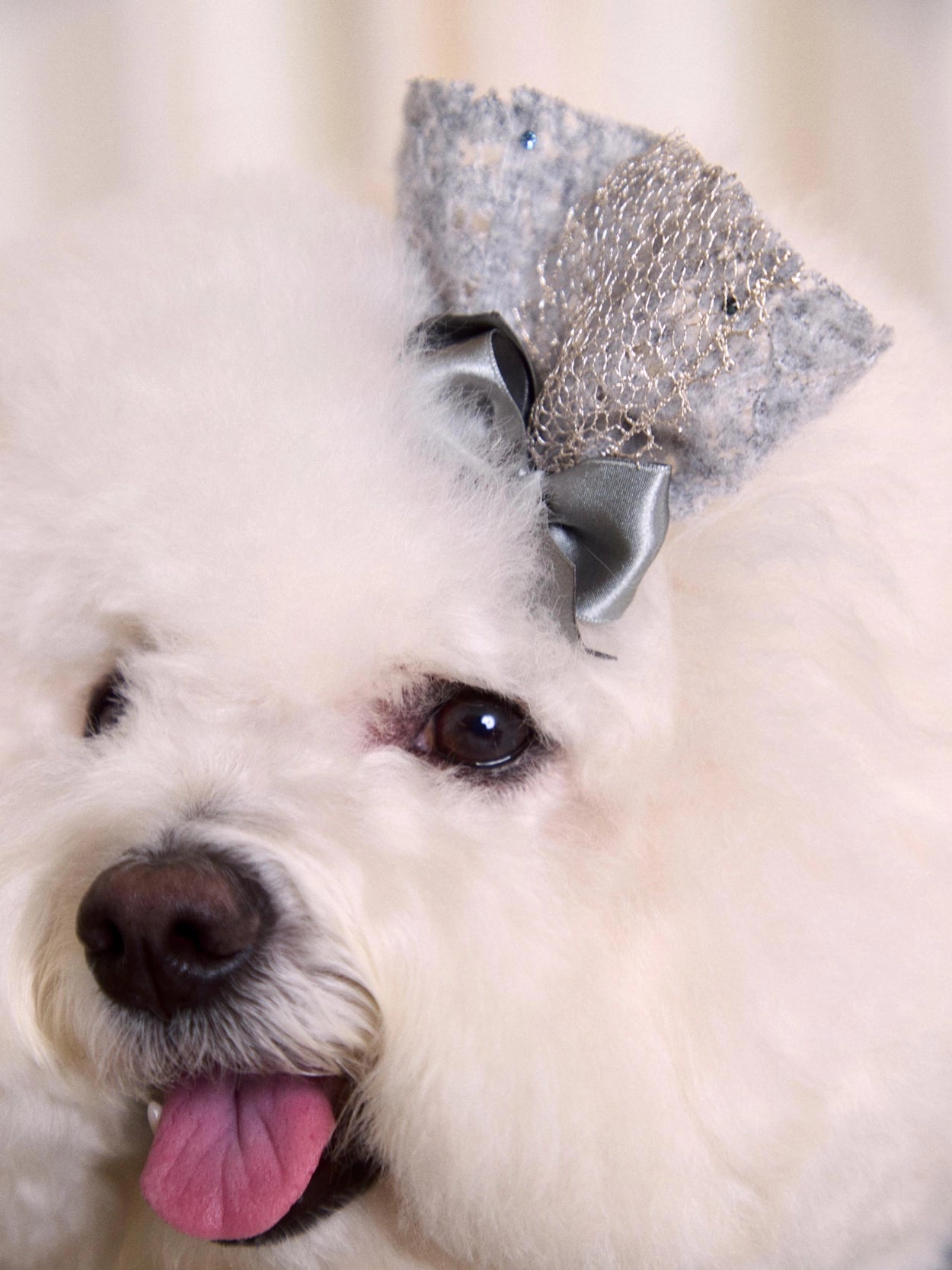 Lace Garden Dress 全3色