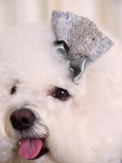 Lace Garden Dress 全3色