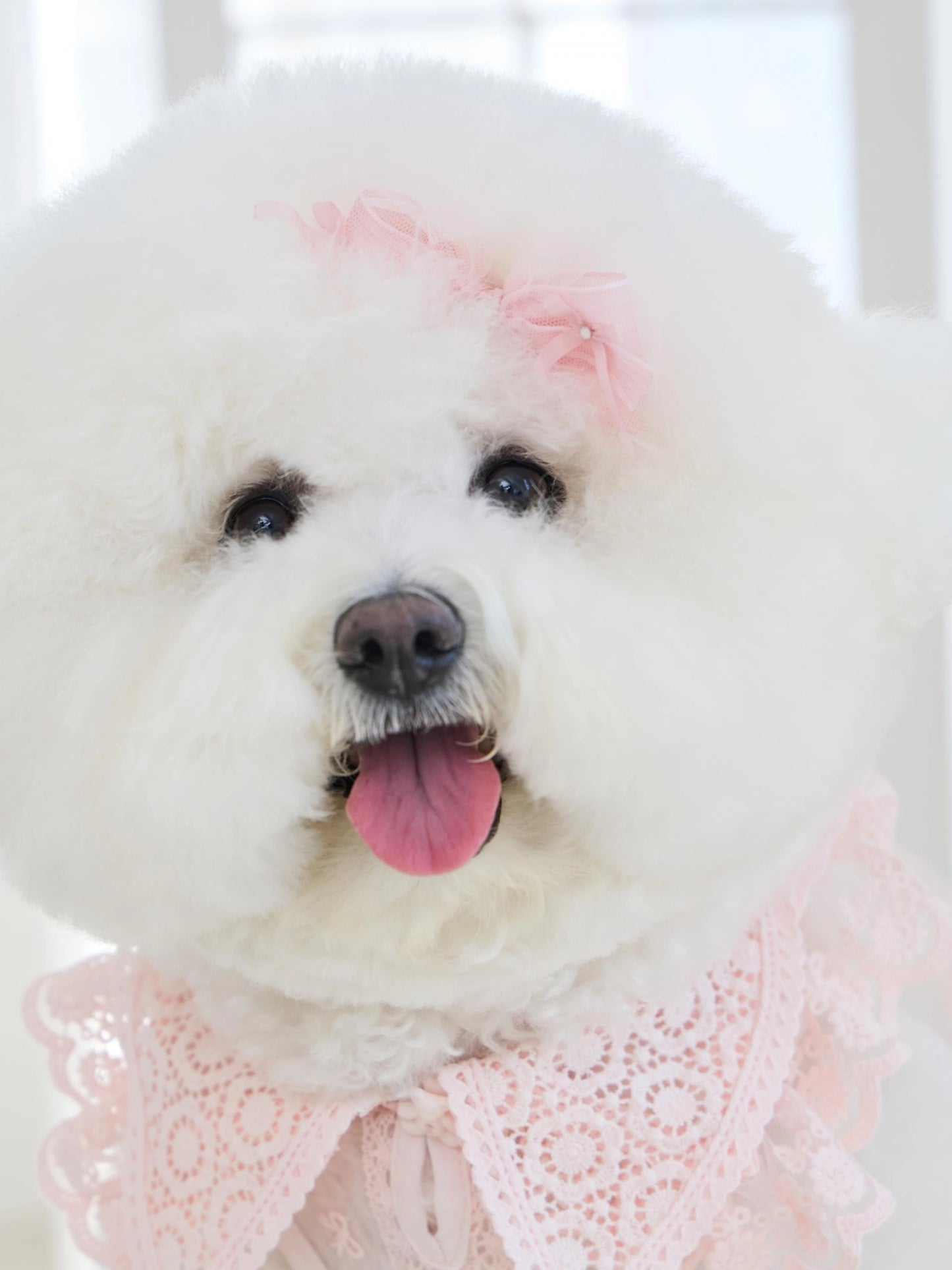 Sweetie Bebe Hairpin 全3色