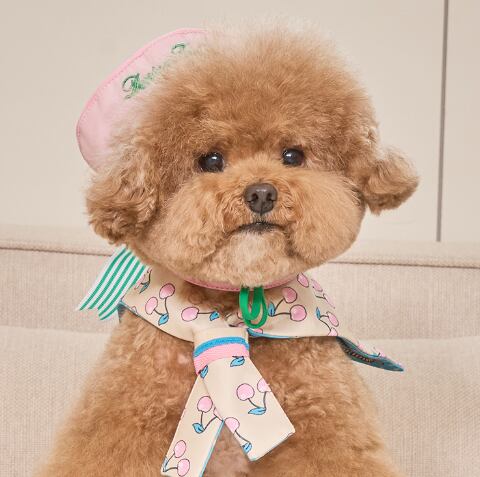 即納 Marine Cap 全3色