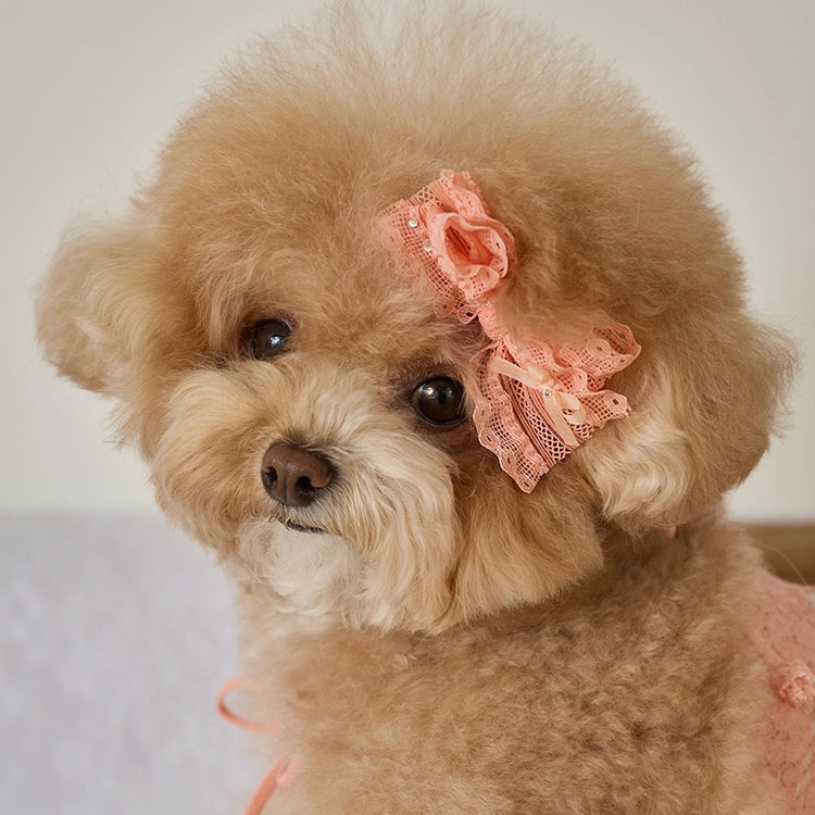 Petit Camisole Hairpin 全3色