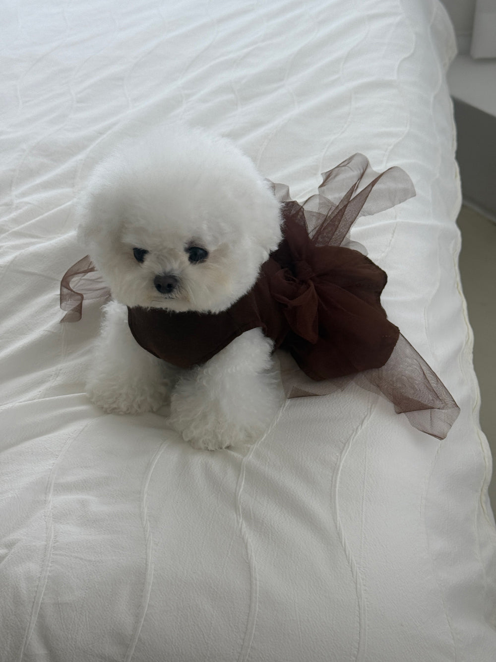 【PRE-ORDER】Full Brown Dress