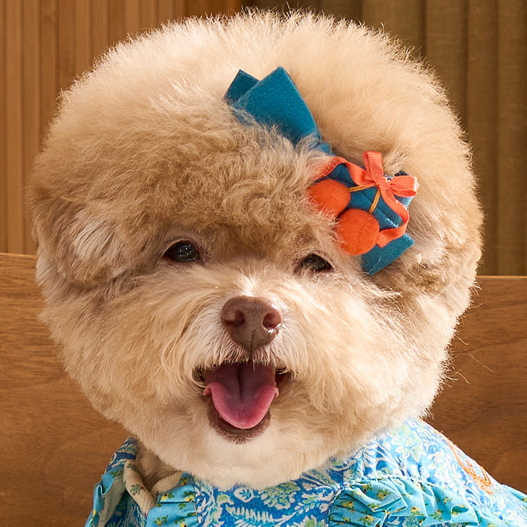 即納 Cherry Bongbong Hairpin 全3色