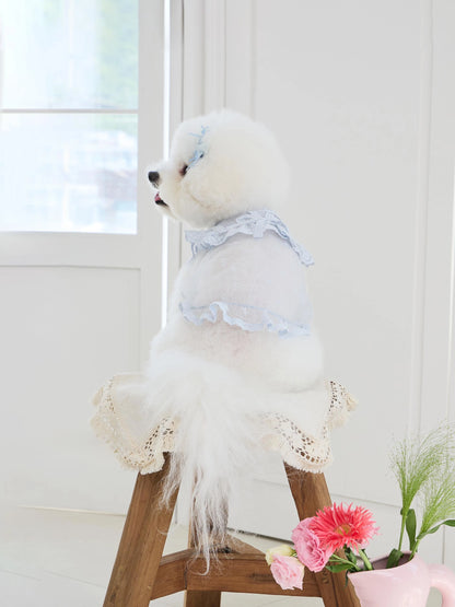 Sweetie Bebe Dress 全3色