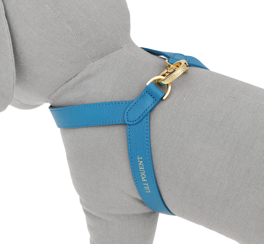 VV Harness ブルー