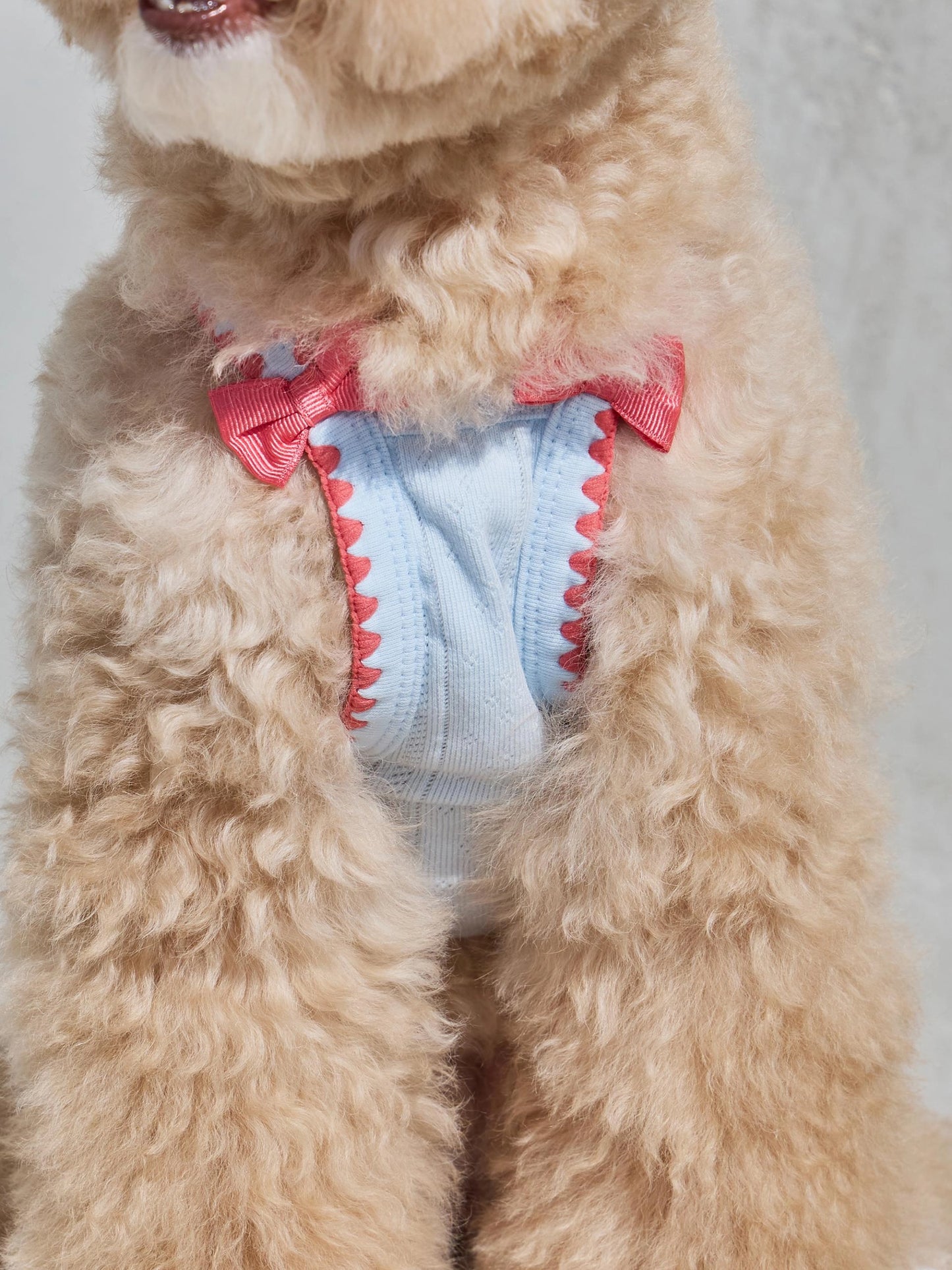 【6/24 入荷予定】Shu Shu Top 全3色