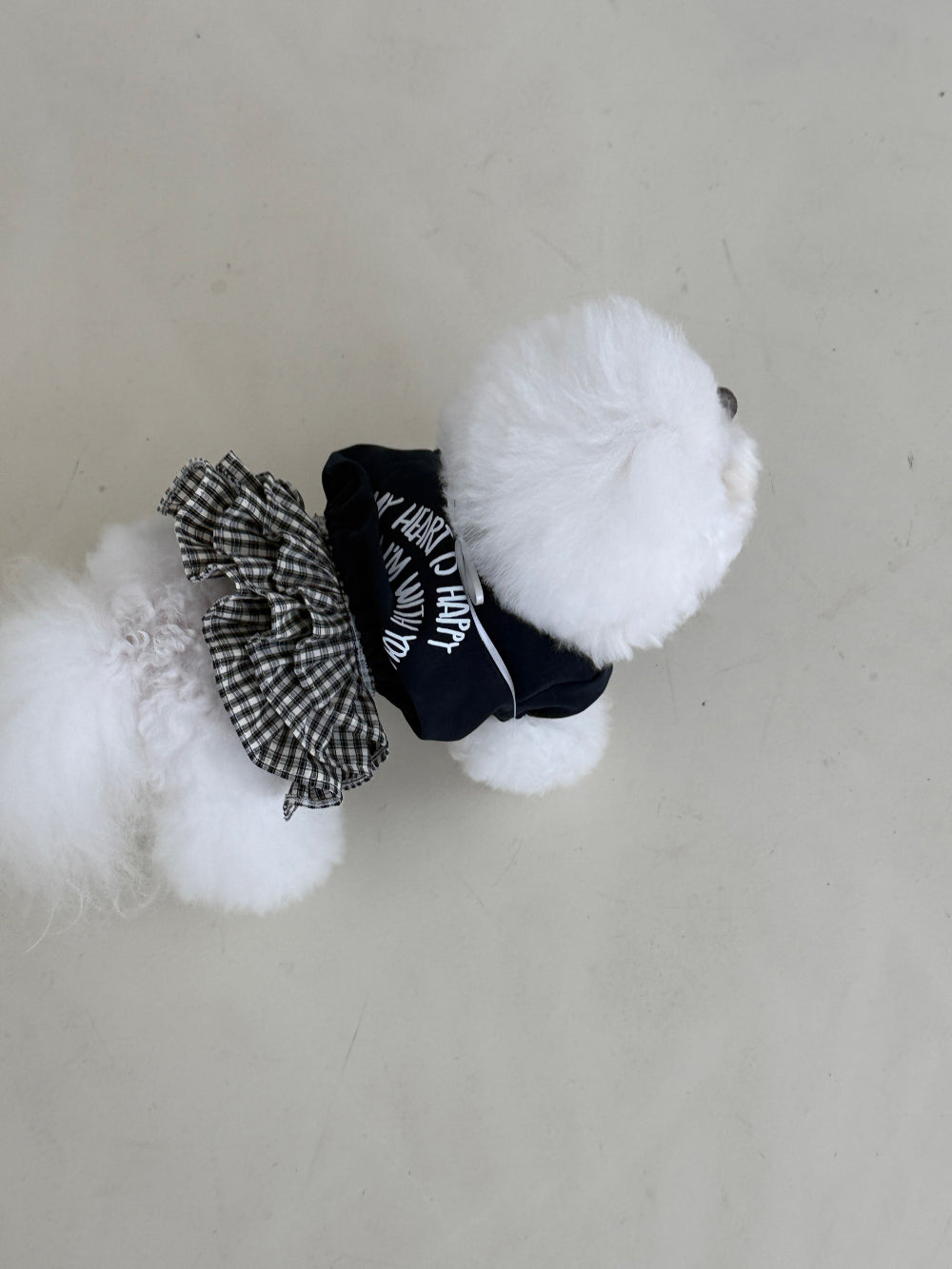 【PRE-ORDER】Check Skirt 全2色