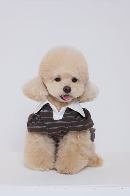 Brownie Puff Collar Top ブラウン