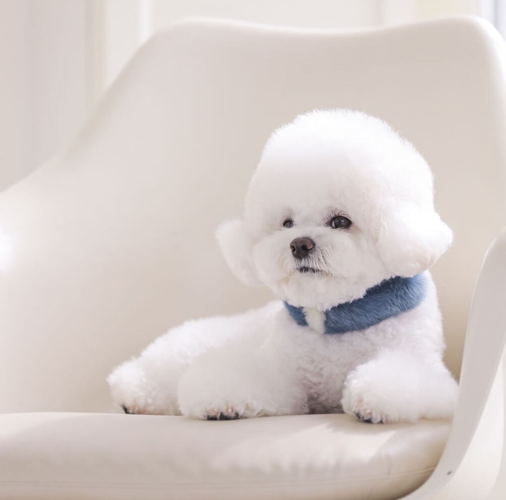即納 Eco Fur Pompom 全2色