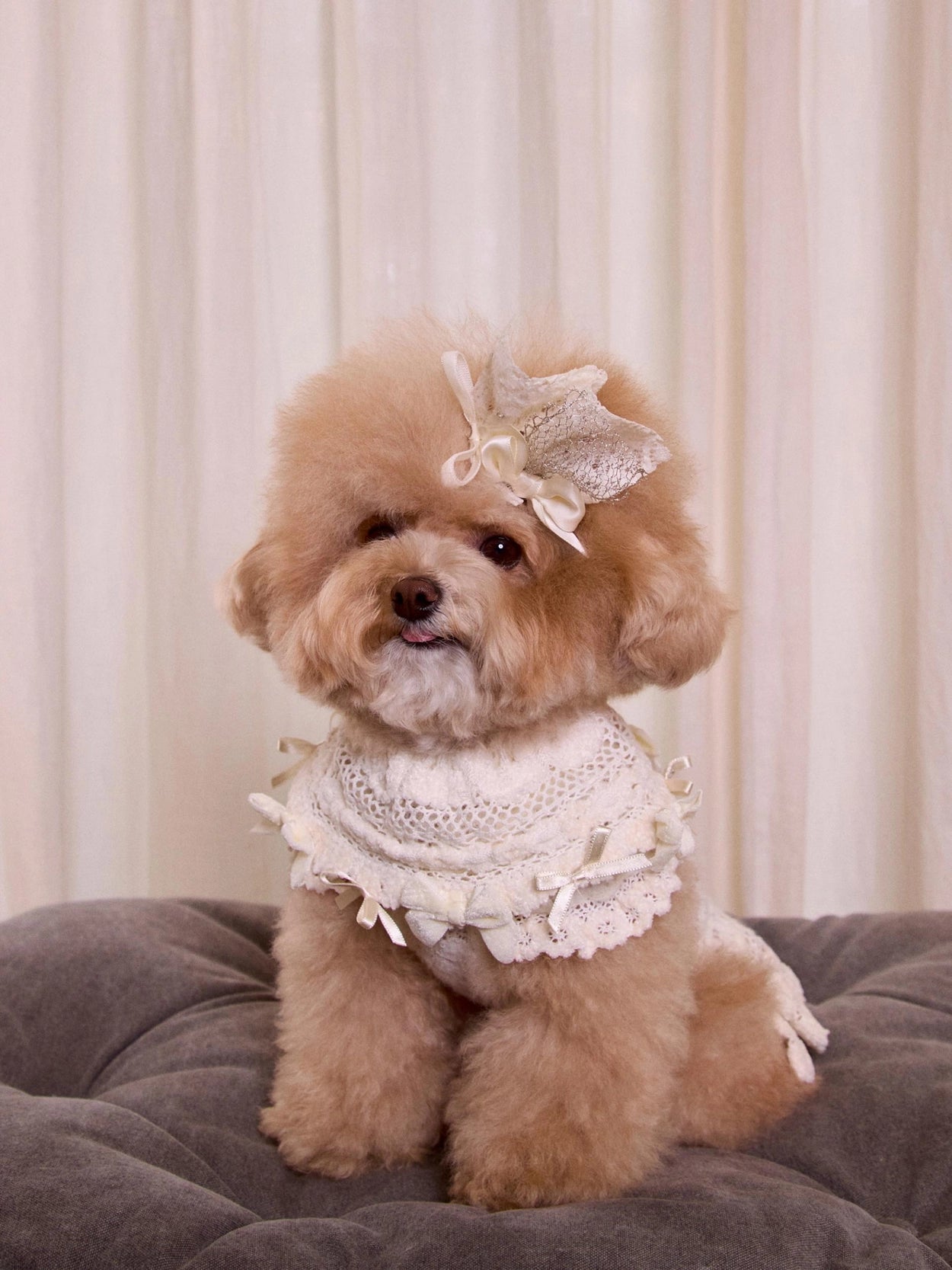 Lace Garden Dress 全3色