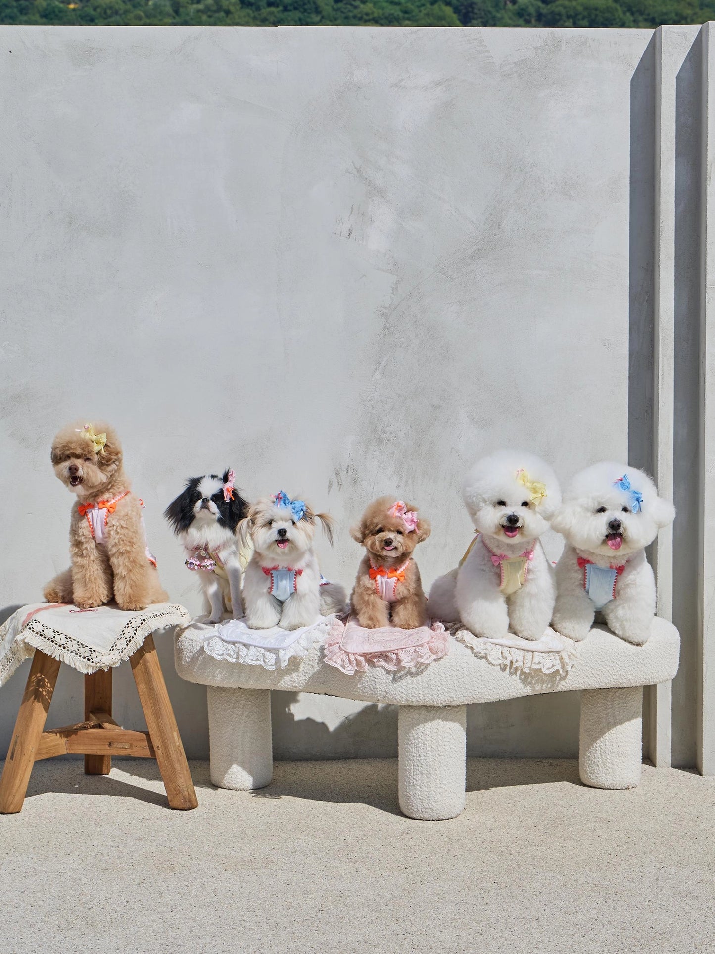 Lace de Blanc Mat 全3色