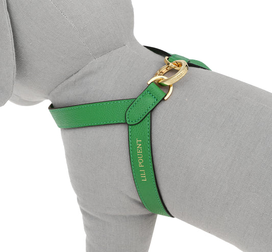 VV Harness グリーン