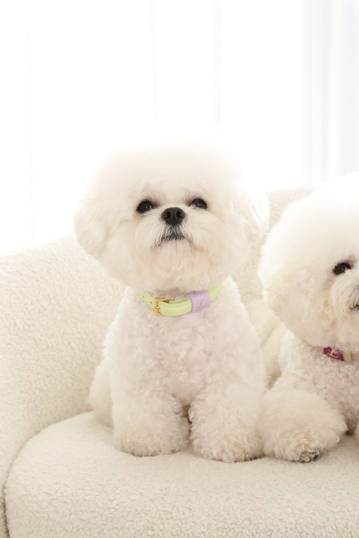 Loving Collar メロン