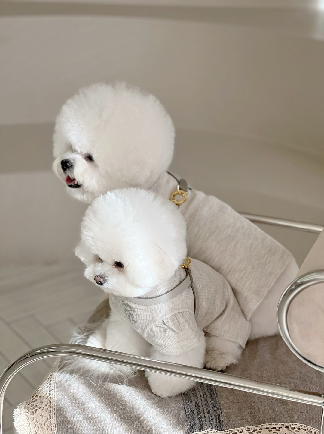 VV Harness 2tone エトープ×グレー