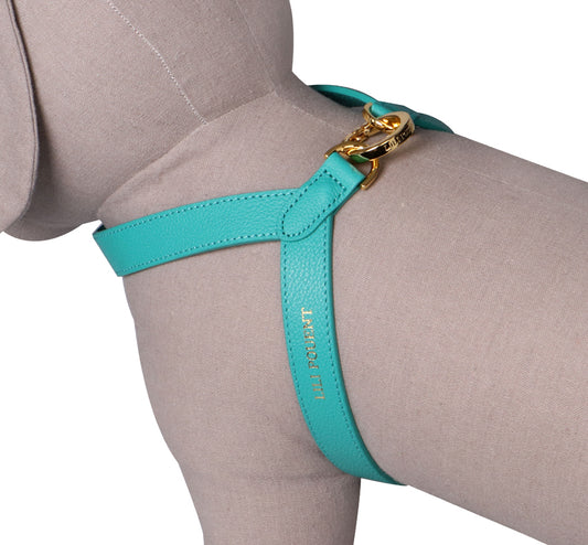 VV Harness アクアグリーン