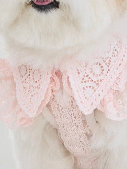 Sweetie Bebe Dress 全3色