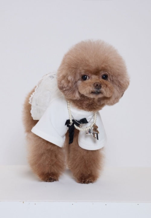 Pure Dog Lace Top ホワイト