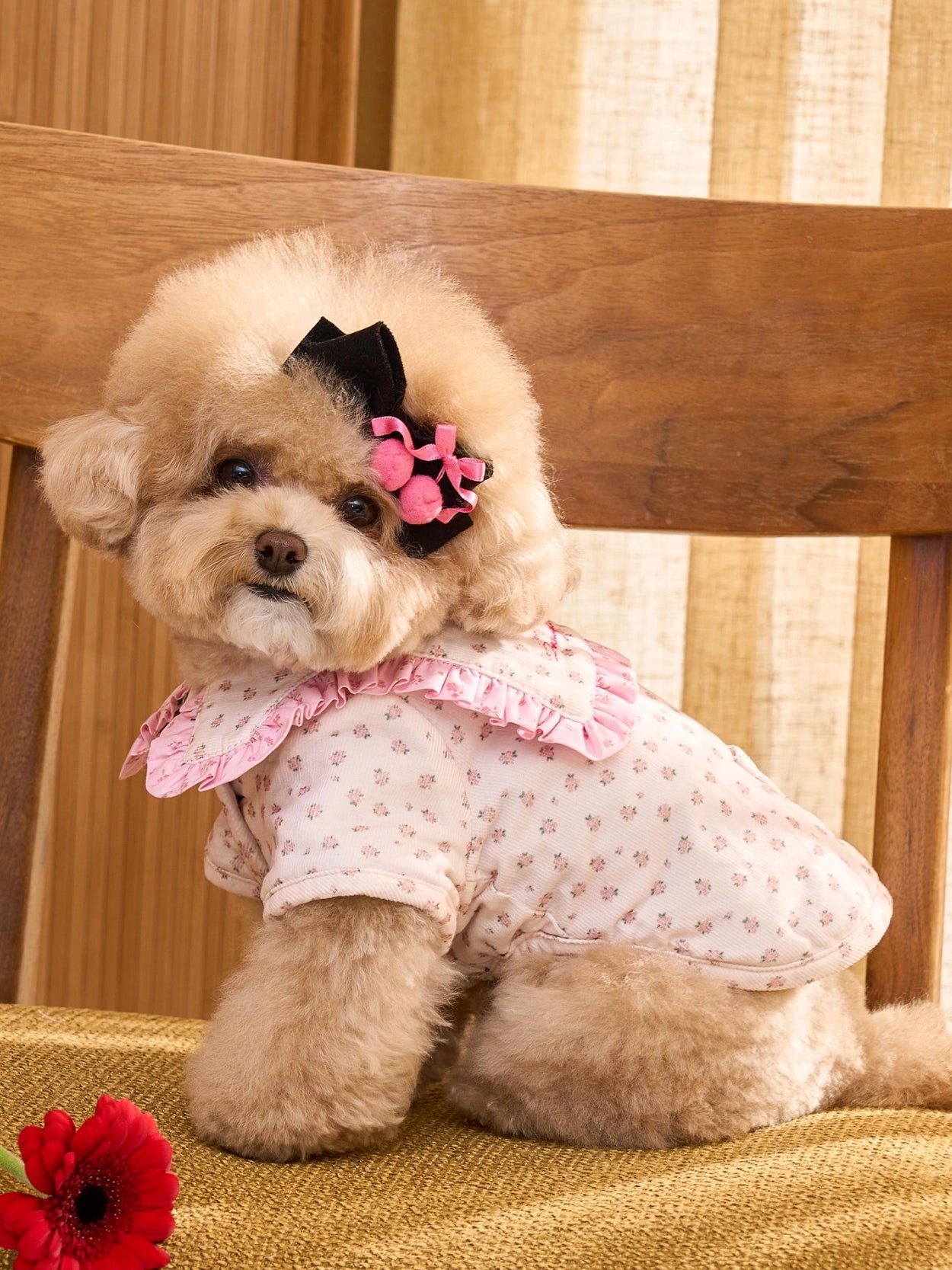 即納 Cherry Bongbong Hairpin 全3色